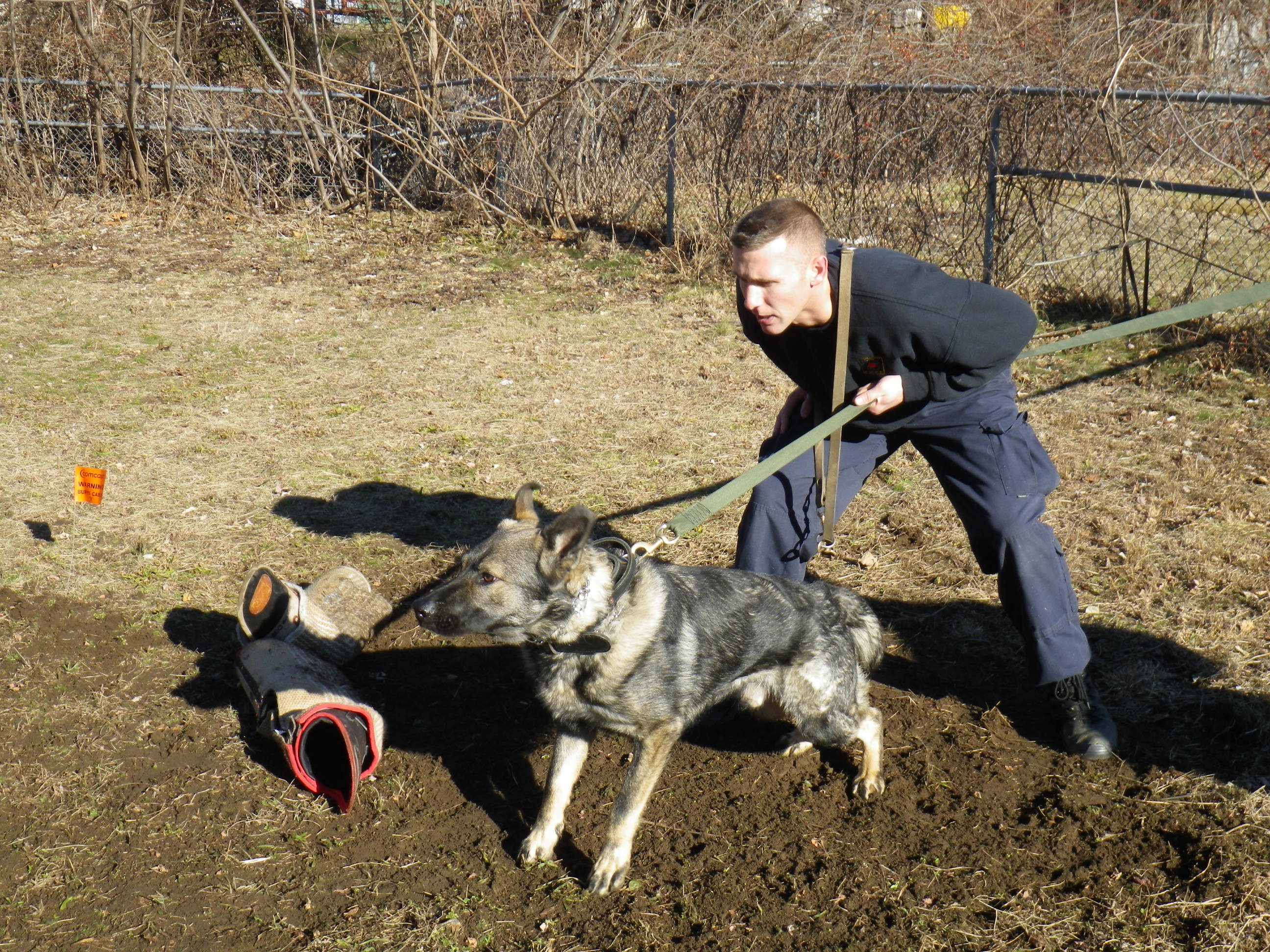 K-9 Training